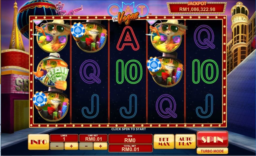 Cat in Vegas Slot